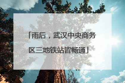 雨后，武汉中央商务区三地铁站皆畅通