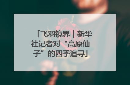 飞羽镜界｜新华社记者对“高原仙子”的四季追寻