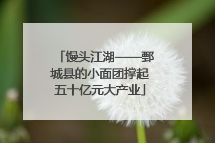 馒头江湖——鄄城县的小面团撑起五十亿元大产业
