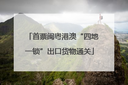 首票闽粤港澳“四地一锁”出口货物通关