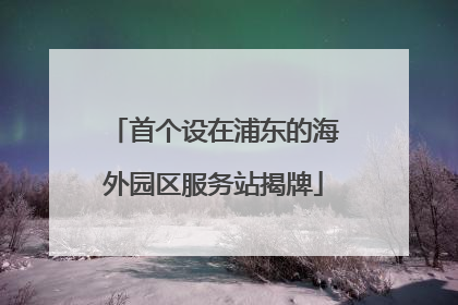 首个设在浦东的海外园区服务站揭牌