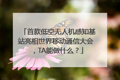 首款低空无人机感知基站亮相世界移动通信大会，TA能做什么？