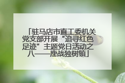 驻马店市直工委机关党支部开展“追寻红色足迹”主题党日活动之八——鏖战独树镇