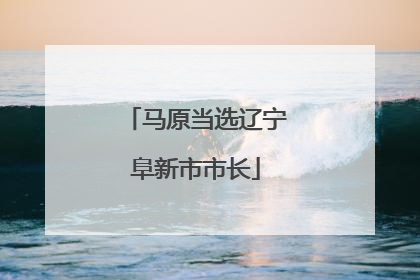 马原当选辽宁阜新市市长