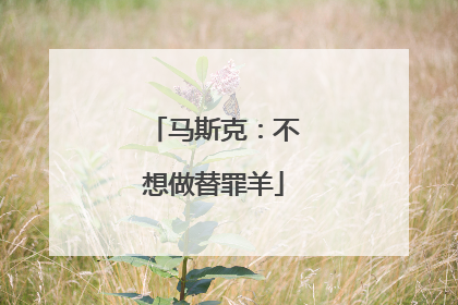 马斯克：不想做替罪羊