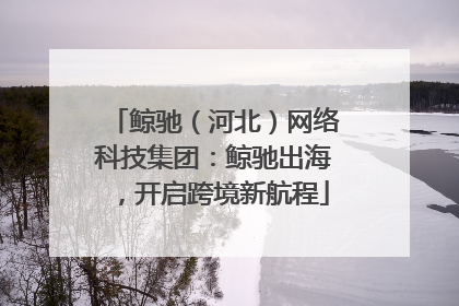 鲸驰（河北）网络科技集团：鲸驰出海，开启跨境新航程