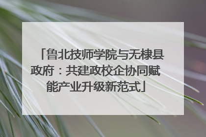 鲁北技师学院与无棣县政府：共建政校企协同赋能产业升级新范式