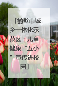 鹤壁市城乡一体化示范区：儿童健康“五小”宣传进校园