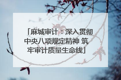 麻城审计：深入贯彻中央八项规定精神 筑牢审计质量生命线