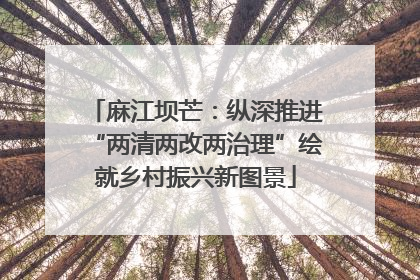 麻江坝芒：纵深推进“两清两改两治理”绘就乡村振兴新图景
