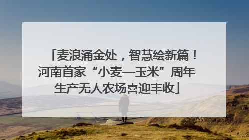 麦浪涌金处，智慧绘新篇！河南首家“小麦—玉米”周年生产无人农场喜迎丰收