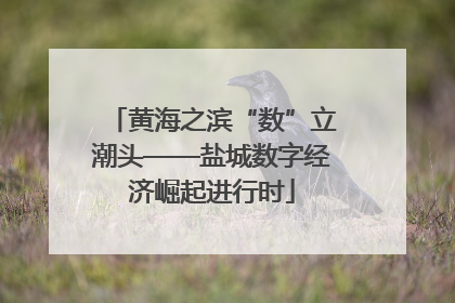黄海之滨“数”立潮头——盐城数字经济崛起进行时
