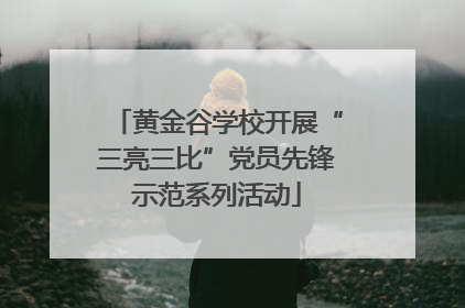 黄金谷学校开展“三亮三比”党员先锋示范系列活动