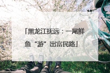 黑龙江抚远：一尾鲜鱼“游”出富民路