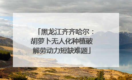 黑龙江齐齐哈尔：胡萝卜无人化种植破解劳动力短缺难题