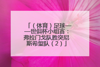 （体育）足球——世俱杯小组赛：弗拉门戈队胜突尼斯希望队（2）