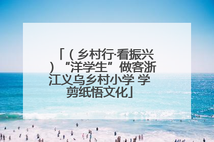 （乡村行·看振兴）“洋学生”做客浙江义乌乡村小学 学剪纸悟文化