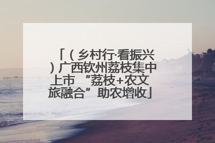 （乡村行·看振兴）广西钦州荔枝集中上市 “荔枝+农文旅融合”助农增收