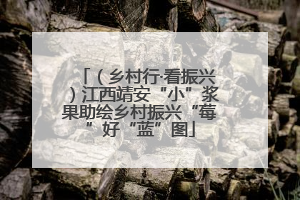 （乡村行·看振兴）江西靖安“小”浆果助绘乡村振兴“莓”好“蓝”图