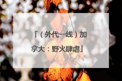 （外代一线）加拿大：野火肆虐