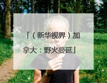 （新华视界）加拿大：野火蔓延