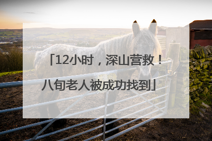 12小时，深山营救！八旬老人被成功找到
