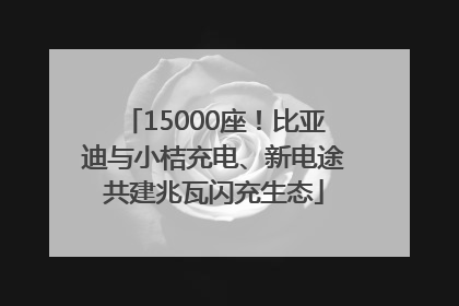 15000座！比亚迪与小桔充电、新电途共建兆瓦闪充生态