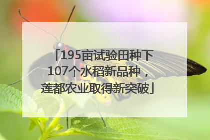 195亩试验田种下107个水稻新品种，莲都农业取得新突破