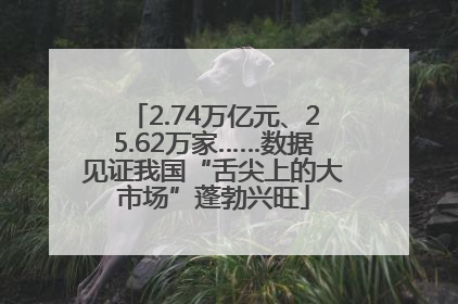 2.74万亿元、25.62万家……数据见证我国“舌尖上的大市场”蓬勃兴旺