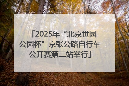2025年“北京世园公园杯”京张公路自行车公开赛第二站举行