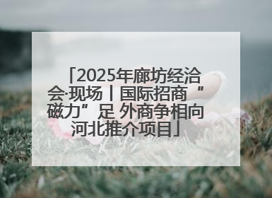 2025年廊坊经洽会·现场丨国际招商“磁力”足 外商争相向河北推介项目