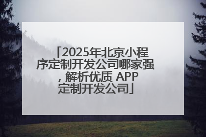 2025年北京小程序定制开发公司哪家强，解析优质 APP 定制开发公司