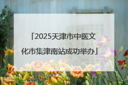 2025天津市中医文化市集津南站成功举办