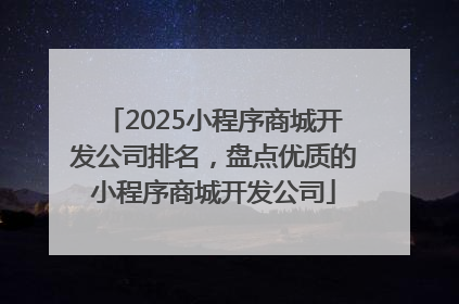 2025小程序商城开发公司排名，盘点优质的小程序商城开发公司