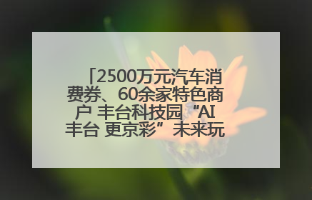 2500万元汽车消费券、60余家特色商户 丰台科技园“AI丰台 更京彩”未来玩家市集活动正式开幕