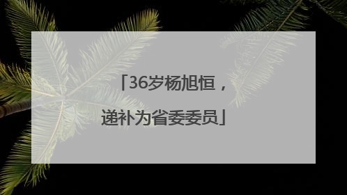 36岁杨旭恒，递补为省委委员