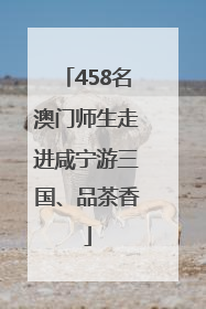 458名澳门师生走进咸宁游三国、品茶香