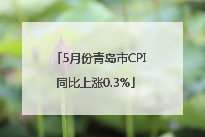 5月份青岛市CPI同比上涨0.3%