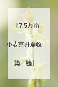 7.5万亩小麦喜开夏收第一镰