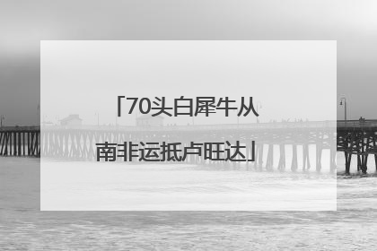 70头白犀牛从南非运抵卢旺达