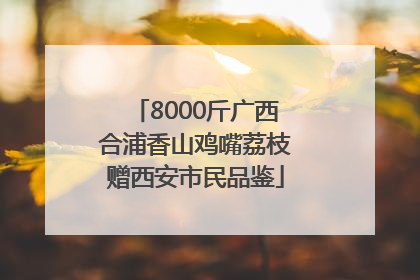 8000斤广西合浦香山鸡嘴荔枝赠西安市民品鉴