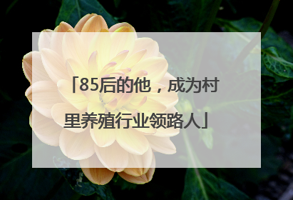 85后的他，成为村里养殖行业领路人