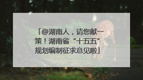 @湖南人，请您献一策！湖南省“十五五”规划编制征求意见啦