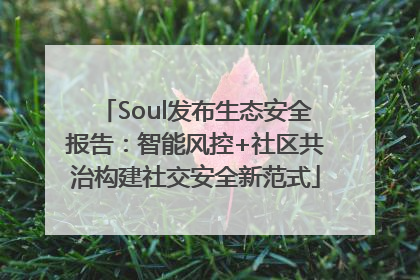 Soul发布生态安全报告：智能风控+社区共治构建社交安全新范式